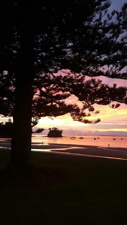 Close To Beach Leilighet Auckland Eksteriør bilde